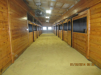John White Stables