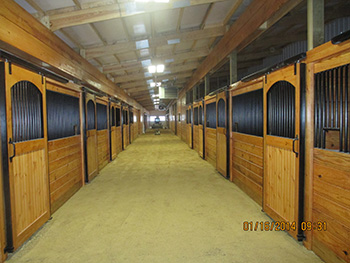 John White Stables