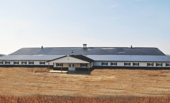 John White Stables