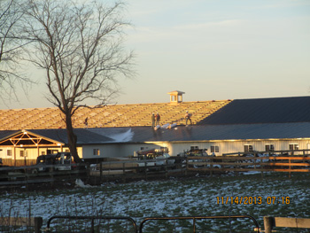John White Stables