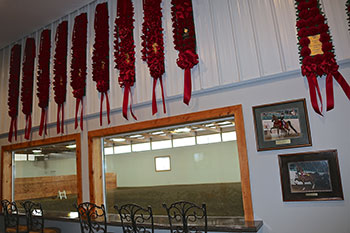 John White Stables